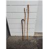 Image 1 : Walking sticks