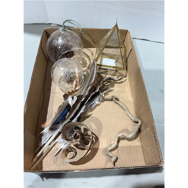 Terrarium and feathers