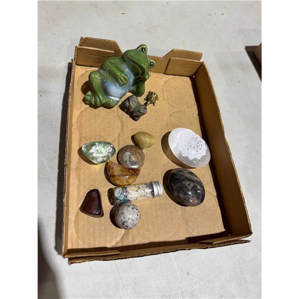 Stones and frogs and a turtle