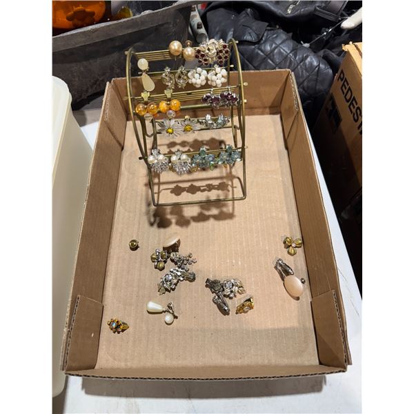 Earrings and earring carousel