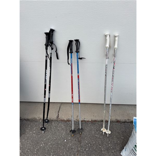 Kids ski poles