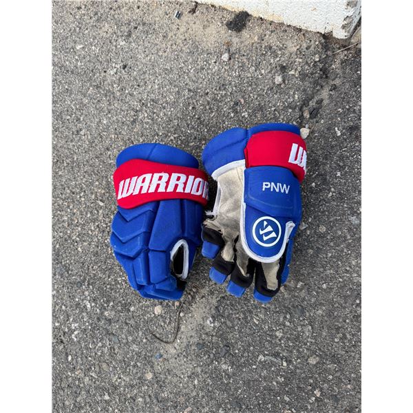 Hockey gloves, Junior