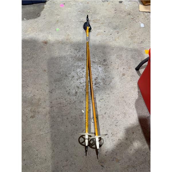 Nordie cross-country bamboo ski poles