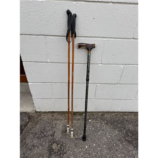 Walking sticks and cane