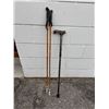 Image 1 : Walking sticks and cane