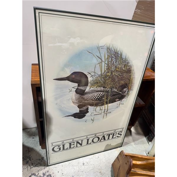 Common loon the art of glen LOATES
