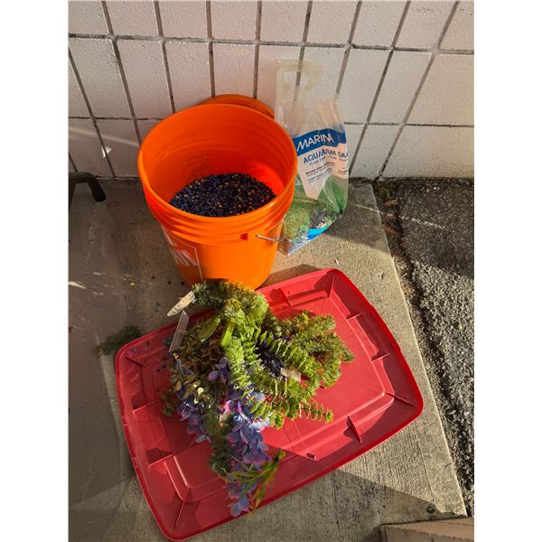 Fish rocks, and trees