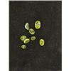 Image 2 : Premium Himalayan Peridot- Oval shaped