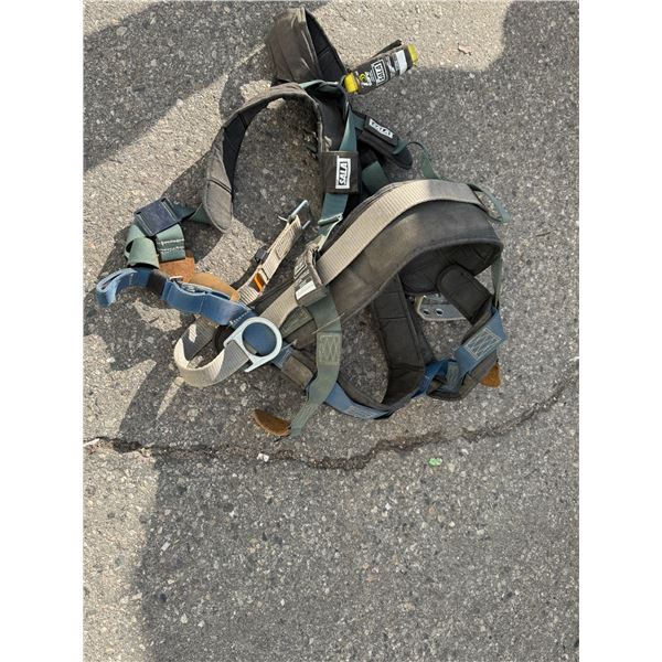 Dbi Sala safety harness