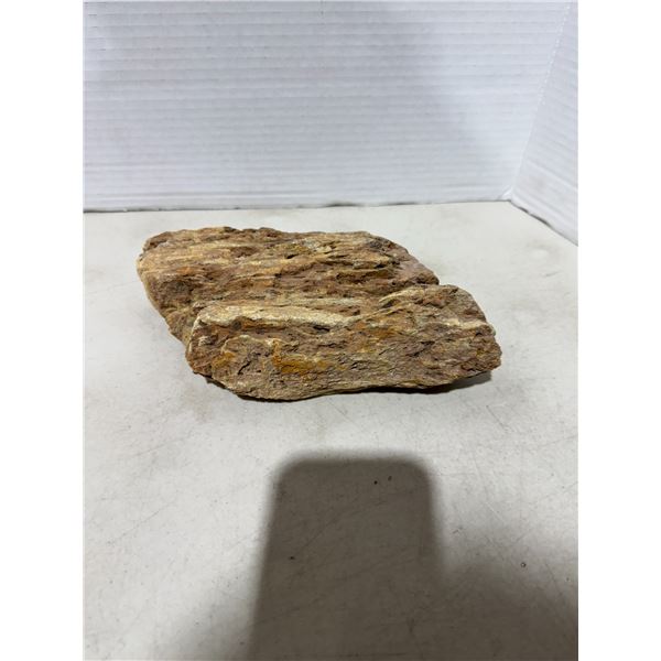 Petrified wood