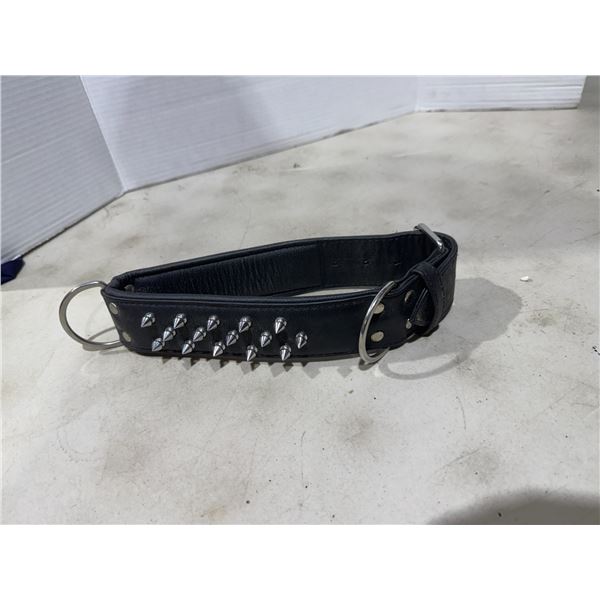 Pet collar