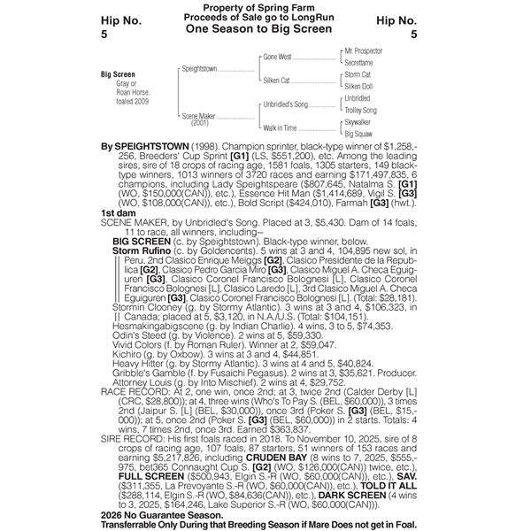 Big Screen - Stallion Season