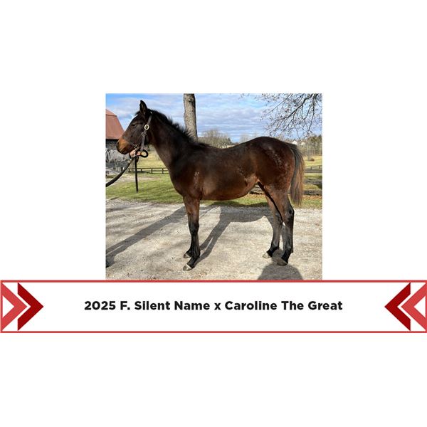 2025 Caroline the Great