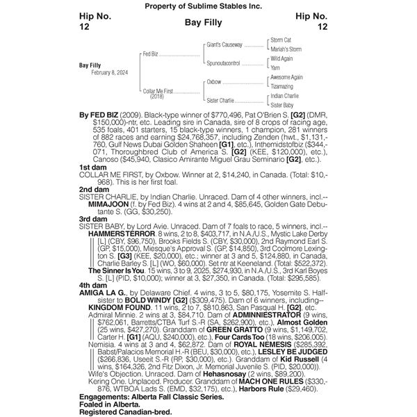 2024 Collar Me First