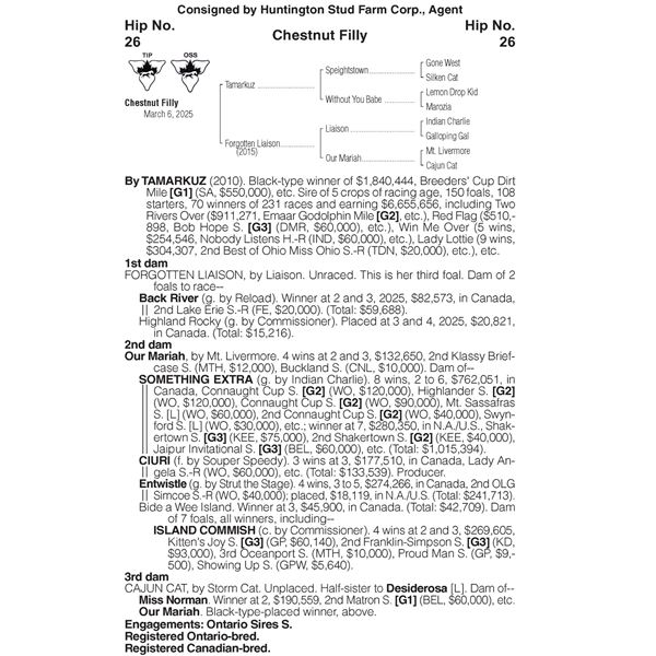 2025 Forgotten Liaison