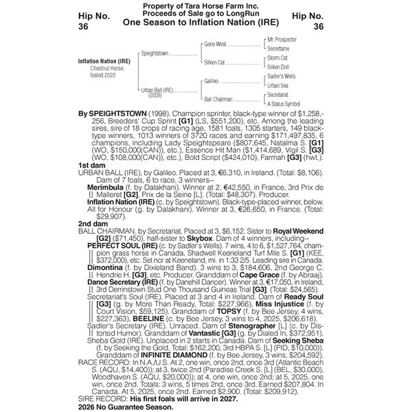 Inflation Nation (IRE) - Stallion Season