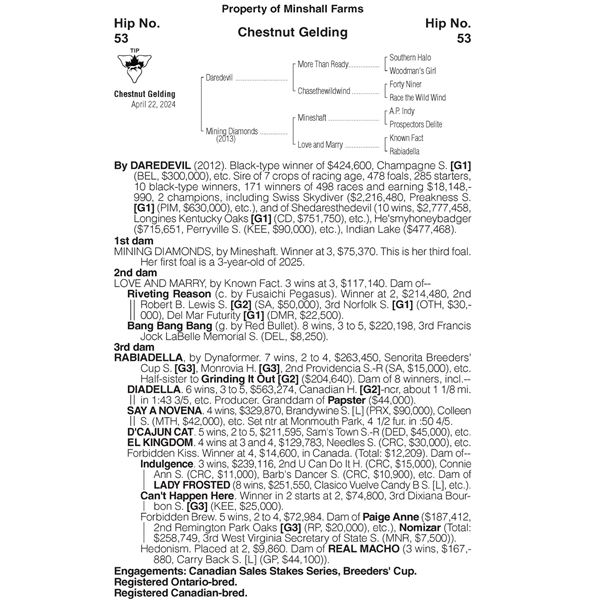 2024 Mining Diamonds