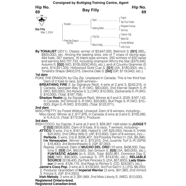 2024 Poke the Dragon