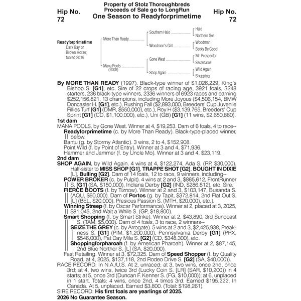 Readyforprimetime - Stallion Season