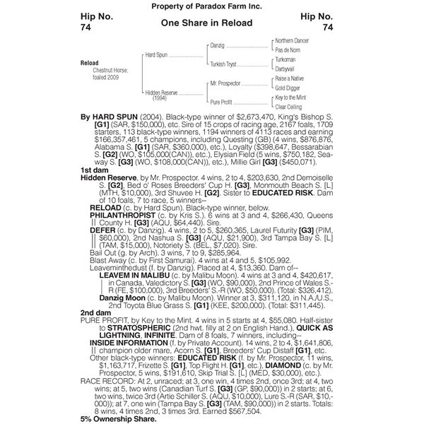 Reload - One Stallion Share