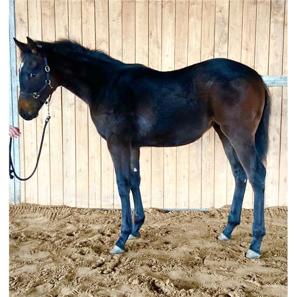 2025 Socially Distant