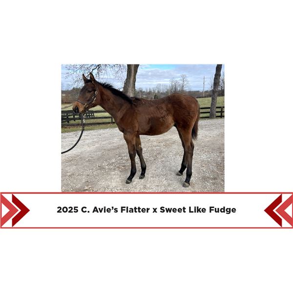 2025 Sweet Like Fudge