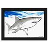 Image 1 : Shark by Wyland Original