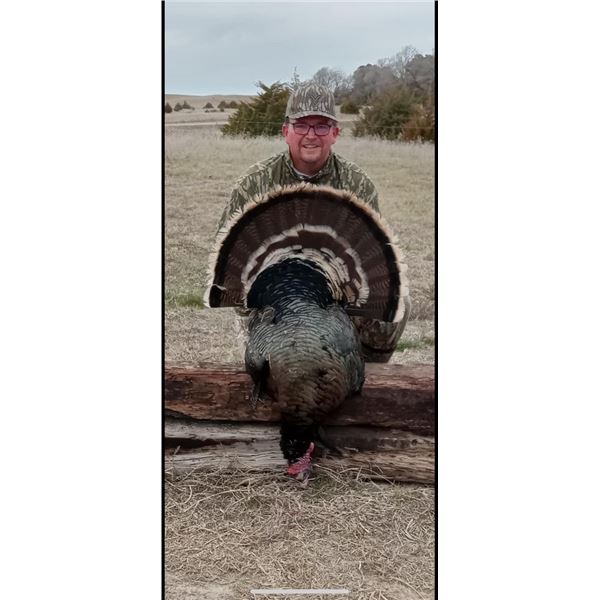 NEBRASKA MERRIAM TURKEY