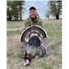 Image 2 : NEBRASKA MERRIAM TURKEY