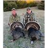 Image 3 : NEBRASKA MERRIAM TURKEY