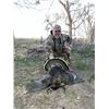 Image 4 : NEBRASKA MERRIAM TURKEY