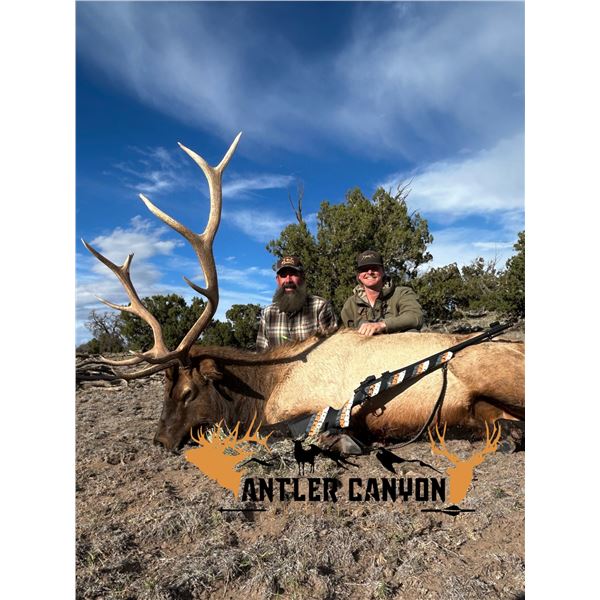 NEW MEXICO BUGLES & BULLS