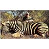 Image 2 : AFRICAN COUPLES SAFARI