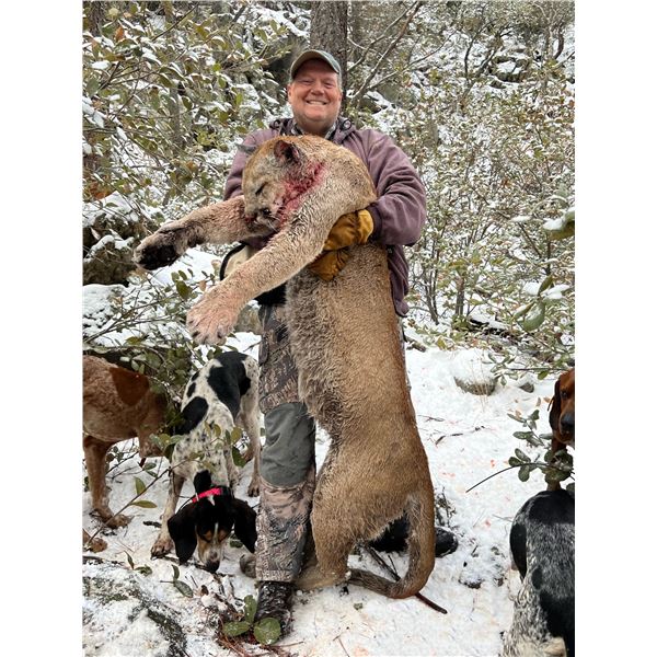 ARIZONA MOUNTAIN LION