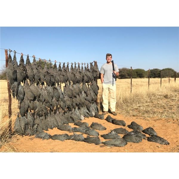 AFRICAN WING SHOOT