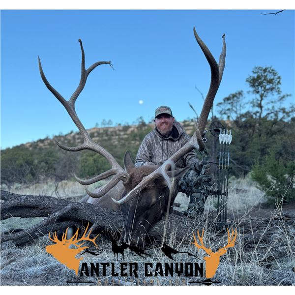 ARCHERY TROPHY ELK HUNT