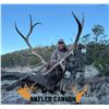 Image 1 : ARCHERY TROPHY ELK HUNT