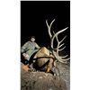 Image 3 : ARCHERY TROPHY ELK HUNT