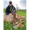 Image 1 : ROE BUCK & BALMORAL GOLF