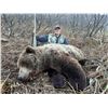 Image 2 : ALASKAN COASTAL BROWN BEAR