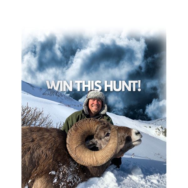 2026 ALBERTA ROCKY MOUNTAIN BIGHORN SHEEP HUNT