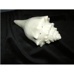 AVON Collectible Seashell Pomander