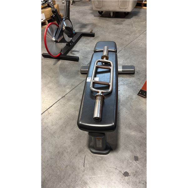BENCH PRESS BENCH WITH A HAMMER CURL BAR