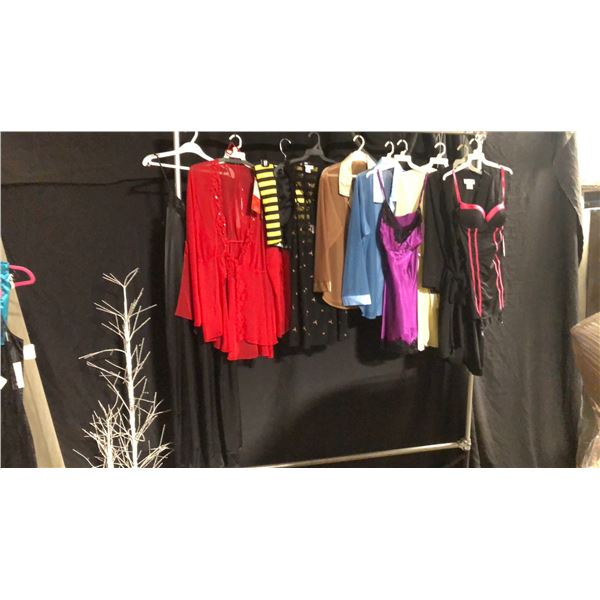 10 ASSORTED PIECES OF LINGERIE ASSORTED SIZES AND STYLES