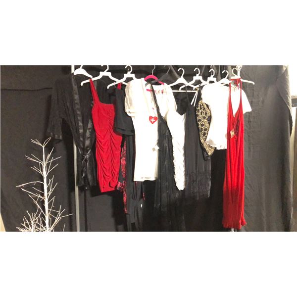 10 ASSORTED PIECES OF LINGERIE ASSORTED SIZES AND STYLES
