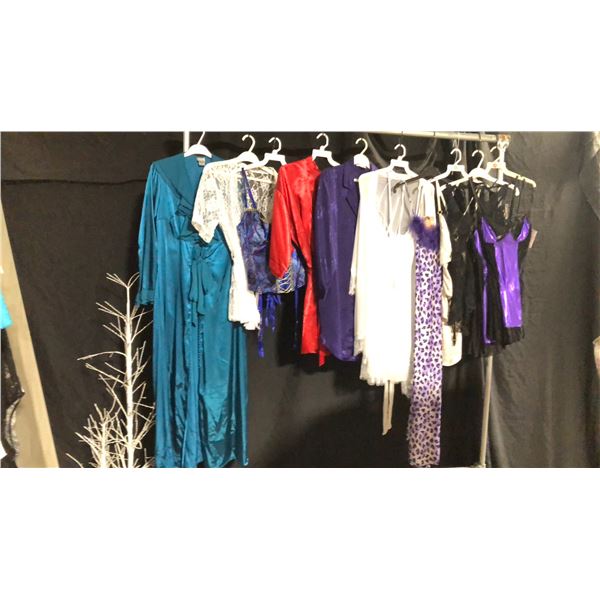 10 ASSORTED PIECES OF LINGERIE ASSORTED SIZES AND STYLES