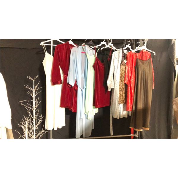 10 ASSORTED PIECES OF LINGERIE ASSORTED SIZES AND STYLES