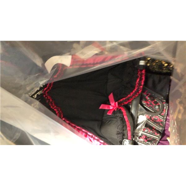 10 CORSETS IN ASSORTED STYLES AND SIZES