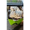 Image 1 : BOX OF ASSORTED LINGERIE ASSORTED SIZES