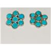 Image 1 : Zuni Turquoise Small Cluster Post Earrings Snake Eye Design